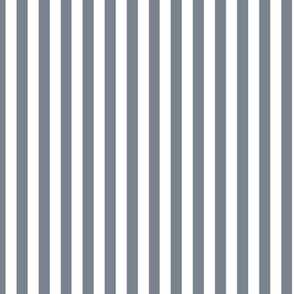 Vertical Bengal Stripe Pattern - Faded Denim and White