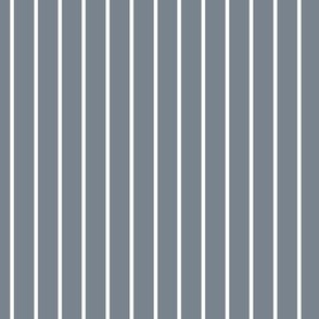 Vertical Pin Stripe Pattern - Faded Denim and White