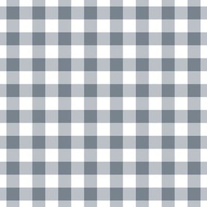 Gingham Pattern - Faded Denim and White
