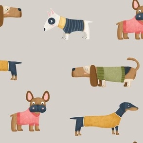 Dogs with sweater in a gray background