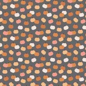 Sweet pumpkin patch sunday afternoon bohemian fall garden kids white blush spice orange on charcoal gray SMALL