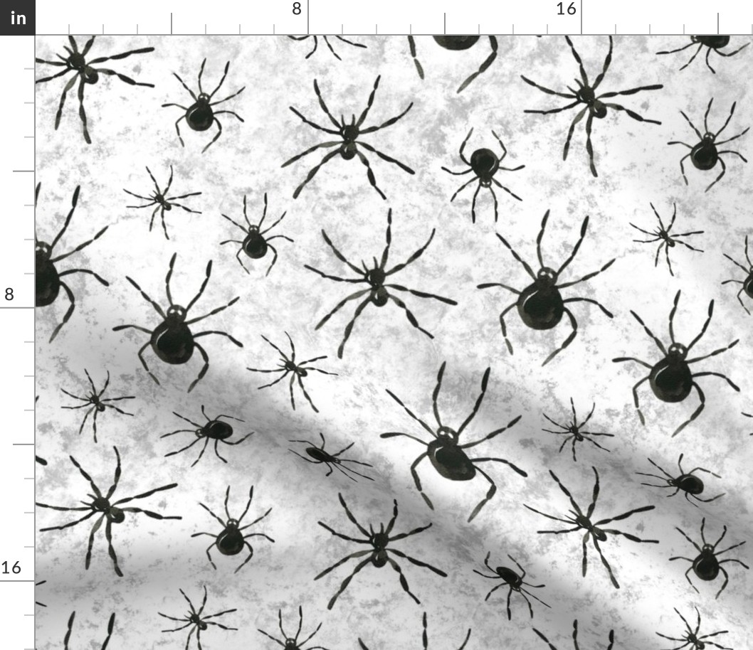 Large Scale Black Spiders on Grunge Grey