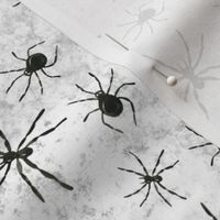Medium Scale Black Spiders on Grunge Grey