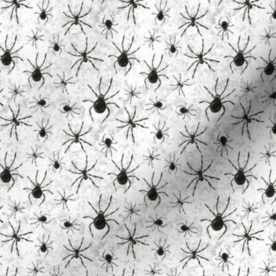 Small Scale Black Spiders on Grunge Grey