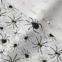 Small Scale Black Spiders on Grunge Grey