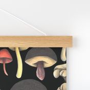 Wild Mushrooms Fantasy Black (Medium Scale)