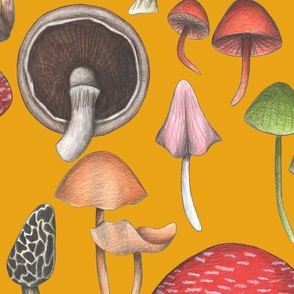 Wild Mushrooms Fantasy Orange (Large Scale)