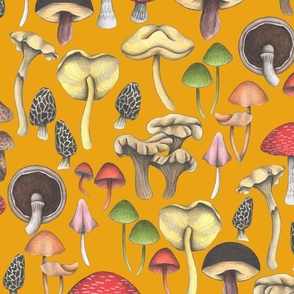 Wild Mushrooms Fantasy Orange (Medium Scale)