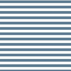 Horizontal Bengal Stripe Pattern - Stormy Blue and White