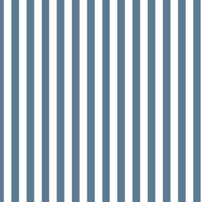 Vertical Bengal Stripe Pattern - Stormy Blue and White