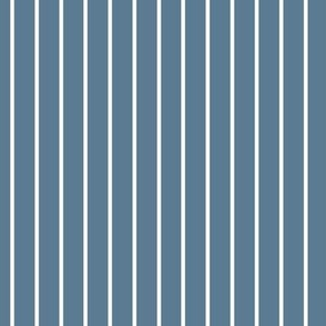 Vertical Pin Stripe Pattern - Stormy Blue and White