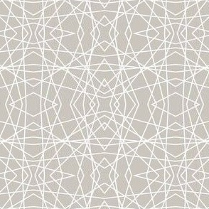 Geometric Spiderweb