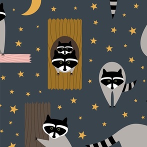 Raccoons at Night Large Scale 