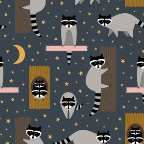 Raccoons at Night Medium Scale 