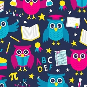 Smart Owls (Pink & Blue)