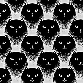 Black cats, 7'', L