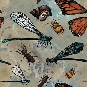 Sketchbook Creek Insects - MED scale