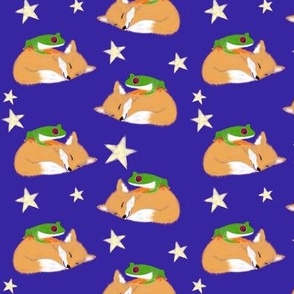 Foxes and tree frogs waking up