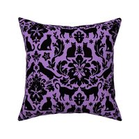 Black Cat Damask - Everyday Lavender