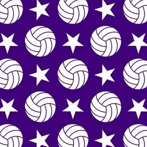 Volleyball Stars - Purple Small