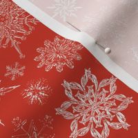 Silent Snowfall in Poinsettia Red