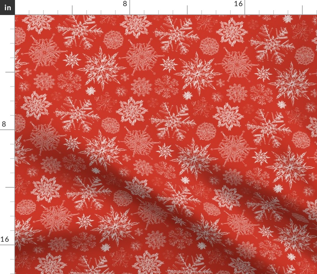 Silent Snowfall in Poinsettia Red