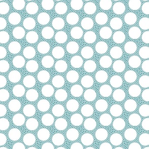 white circles on light blue vermicular