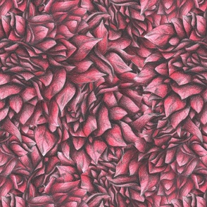 Red Bloom (Medium Scale)