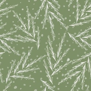 Holiday christmas fir trees sage green by jac slade