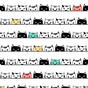 Black and white cats - Large scale