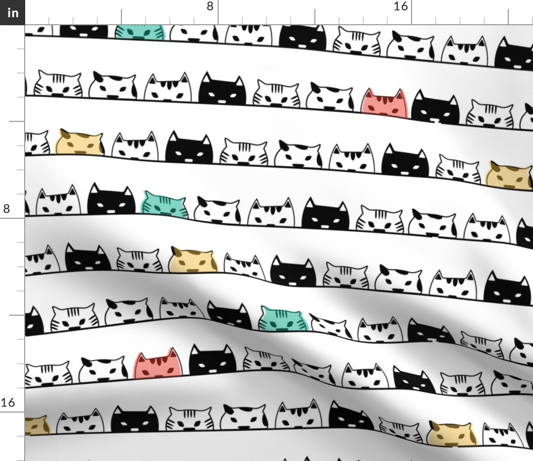 Black and white cats - Large scale