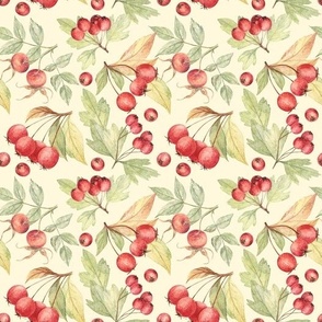Hawthorn and rose hip 1 (on light yellow)