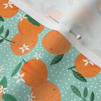 Orange Citrus fruit and Blossom on mint green - 4 inch repeat