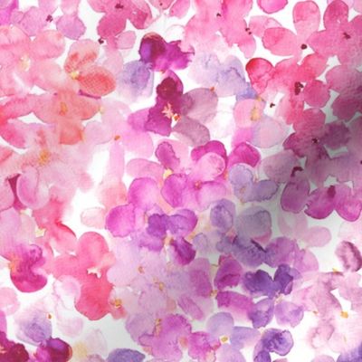 pink watercolor hydrangea