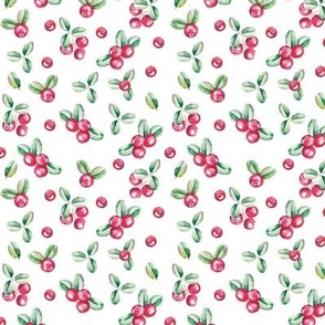 cranberry pattern