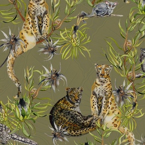 Cape Leopards with Fynbos Green lichen large. 
