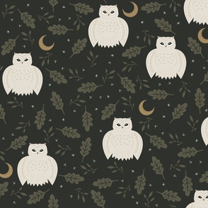 Hoot - Night