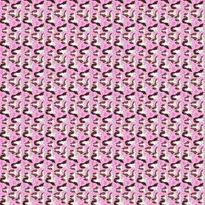 Cavalier King Charles Spaniel on pink 2x2 sideways