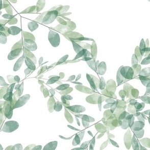 Watercolor Boxwood on White