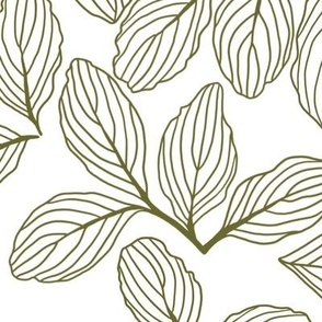 Forsythia Leaves - Green