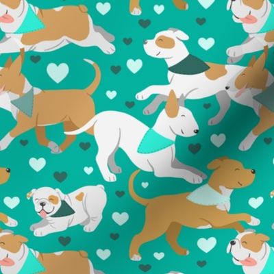 Bull breeds in teal