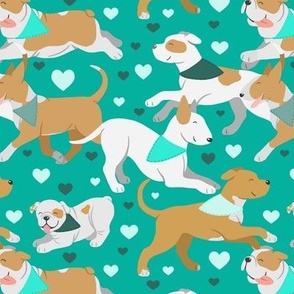 Bull breeds in teal