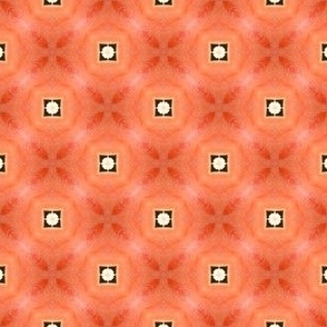 Orange with Black and White Squares