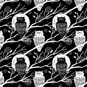 Owls of the Night