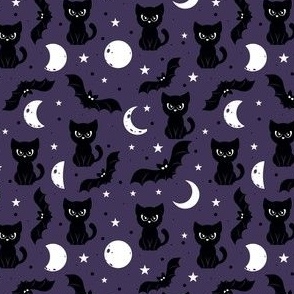 Black Cat Night