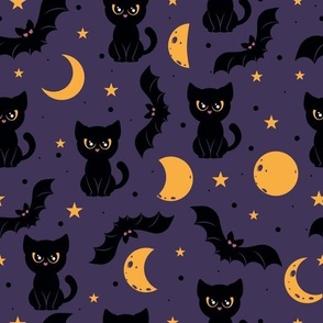 Black Cat Night