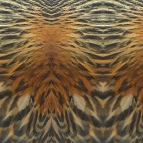 DU-B CHICKEN FEATHERS ABSTRACT 40 JUMBO-MIRROR