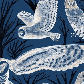 Barn Owls - large