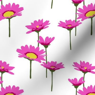 Bright Pink Flowers on a White Background 13.65x13.65