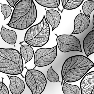 Black Hand-drawn Leaves on White